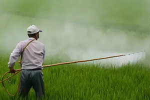 pesticides
